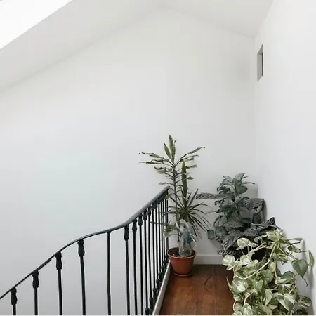 Classy, Restored Art-filled In Historic Center Апартаменты *